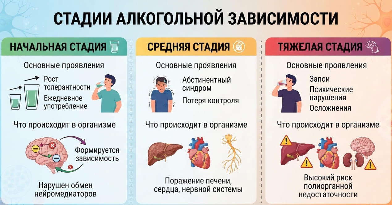 Инфографика: Стадии алкогольной зависимости